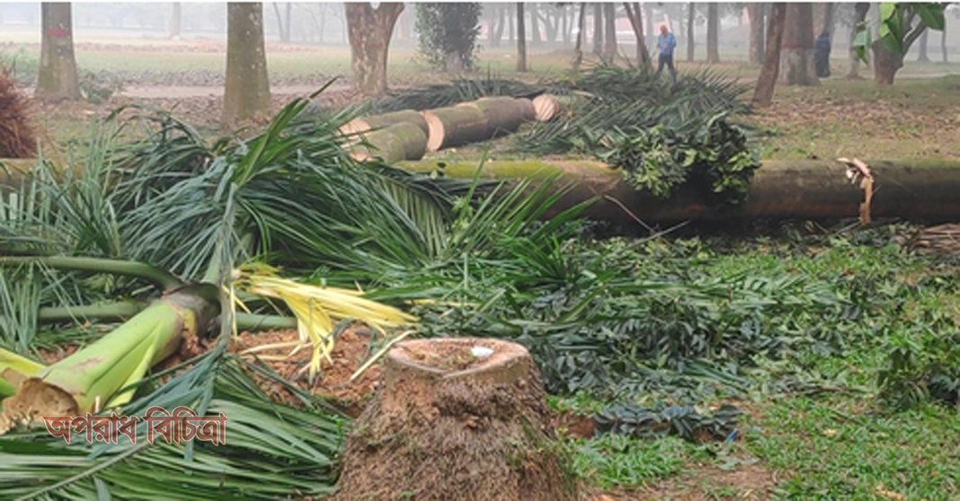 সোহরাওয়ার্দী উদ্যানে হচ্ছে ৭ রেস্তোরাঁ, কাটা পড়ছে গাছ