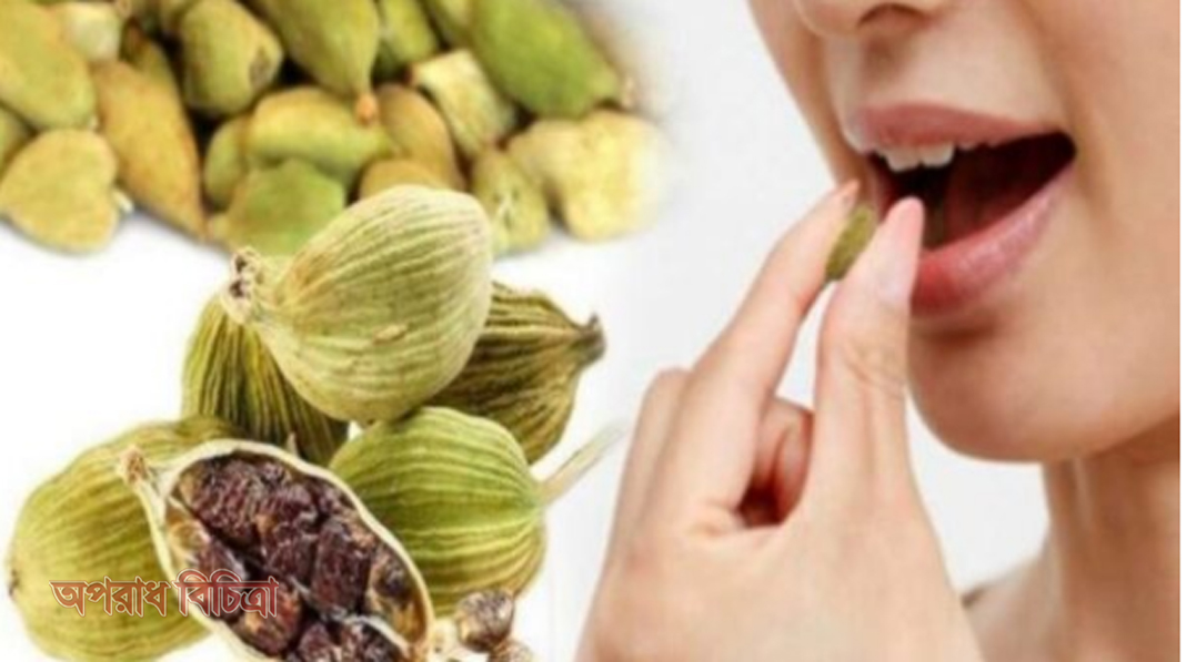 নিয়মিত এলাচ খাওয়ার উপকারিতা, জেনে নিন এখনি
