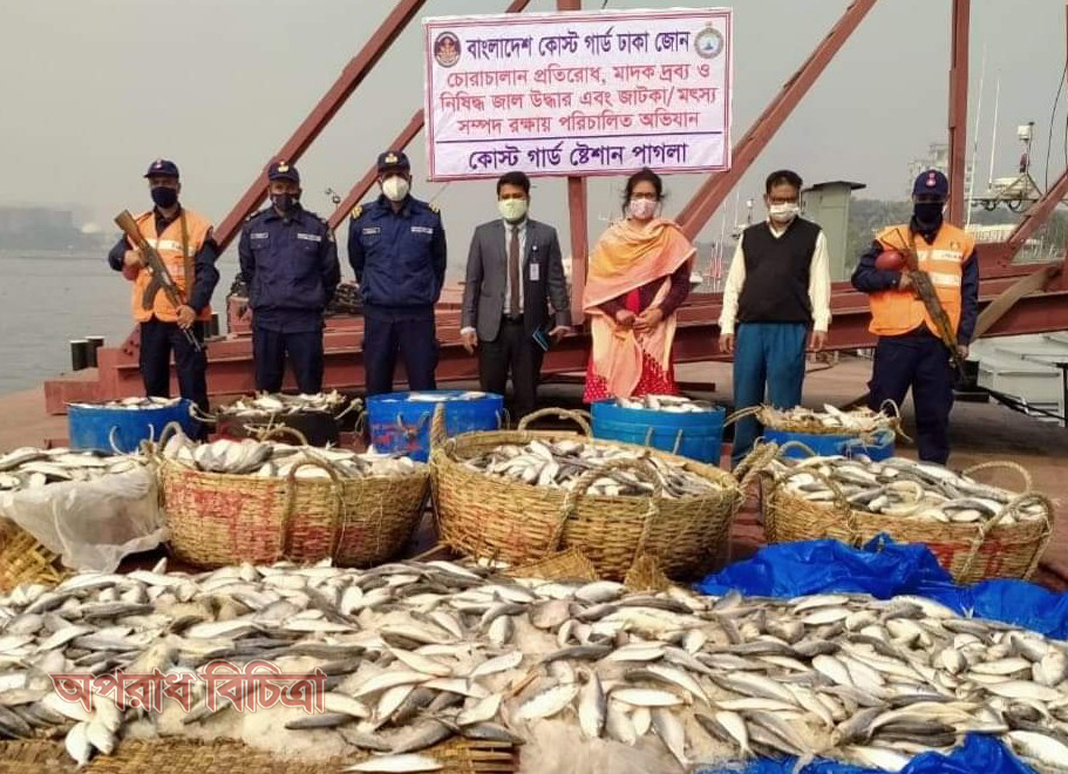 কোস্টগার্ডের বিশেষ অভিযানে  ৫০০০ কেজি জাটকা জব্দ