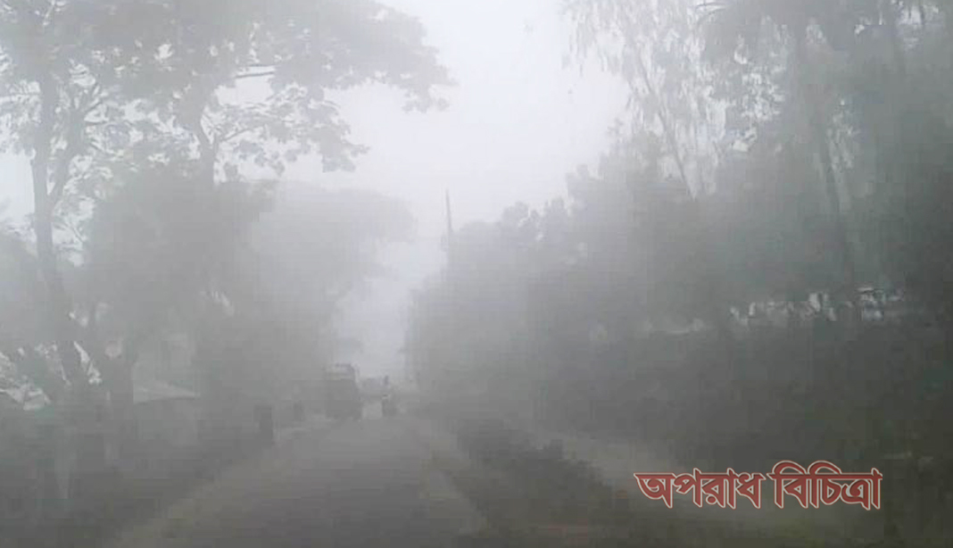 কুড়িগ্রামের রৌমারী-রাজিবপুরে সূর্যের দেখা নেই তীব্র শীতে কাপছে মানুষ গরম কাপরের দোকানে ভির