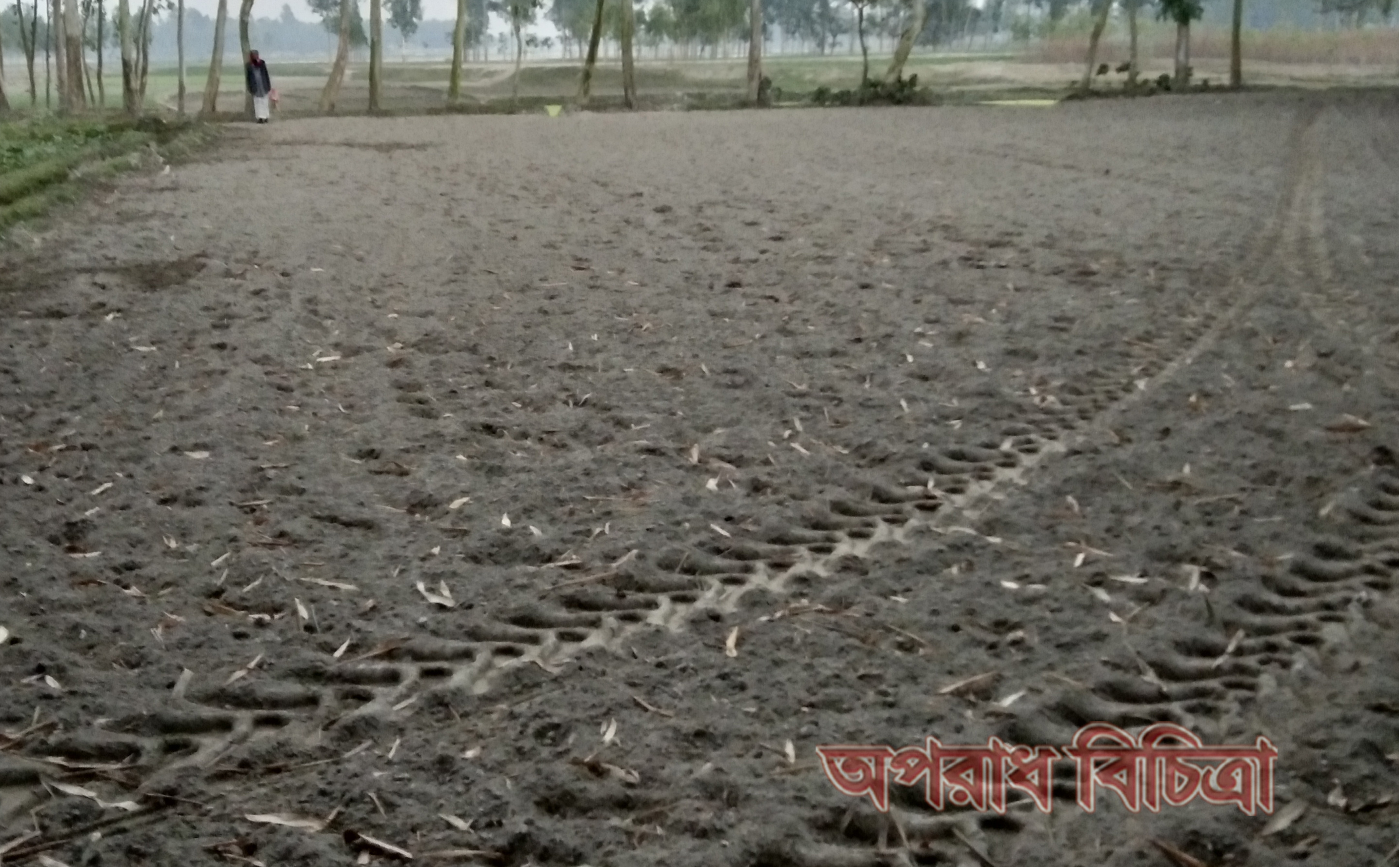 কিশোরগঞ্জে পেয়ারা বেগম এর পৈত্রিক সম্পত্তি অবৈধভাবে দখলের চেষ্টা