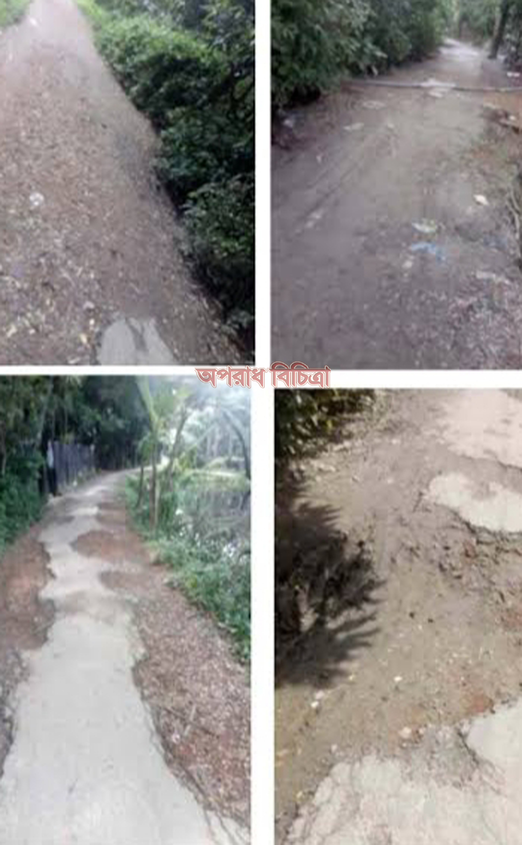 ধামরাইয়ে অবহেলিত একটি গ্রামের নাম রৌহা  ভোগান্তিতে হাজারো মানুষ