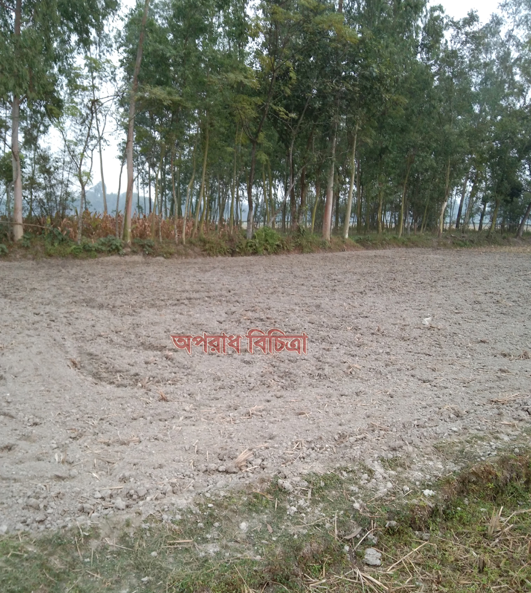 তারাগঞ্জের আলিফ উদ্দিনের ক্রয়কৃত সম্পত্তি আবতাব ও মুকুল গং অবৈধ ভাবে জবর দখলের চেষ্ঠা