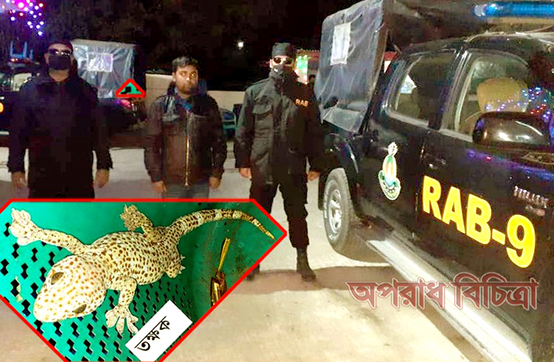 সুনামগঞ্জে বন্যপ্রাণী তক্ষক ইয়াবা ও মদসহ ৩জন গ্রেফতার