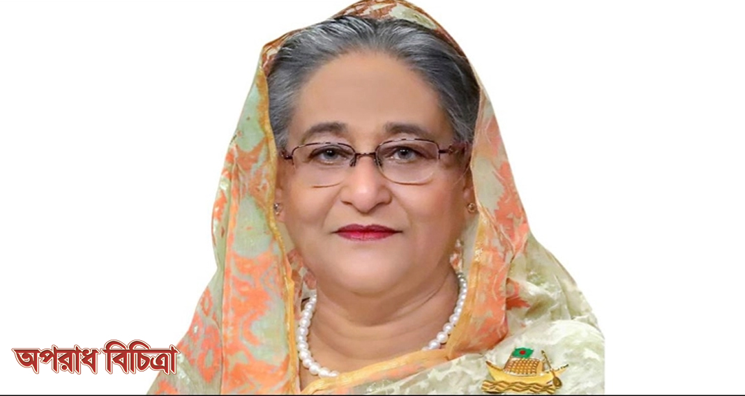বাংলাদেশেই যুদ্ধবিমান তৈরি করা হবে : প্রধানমন্ত্রী