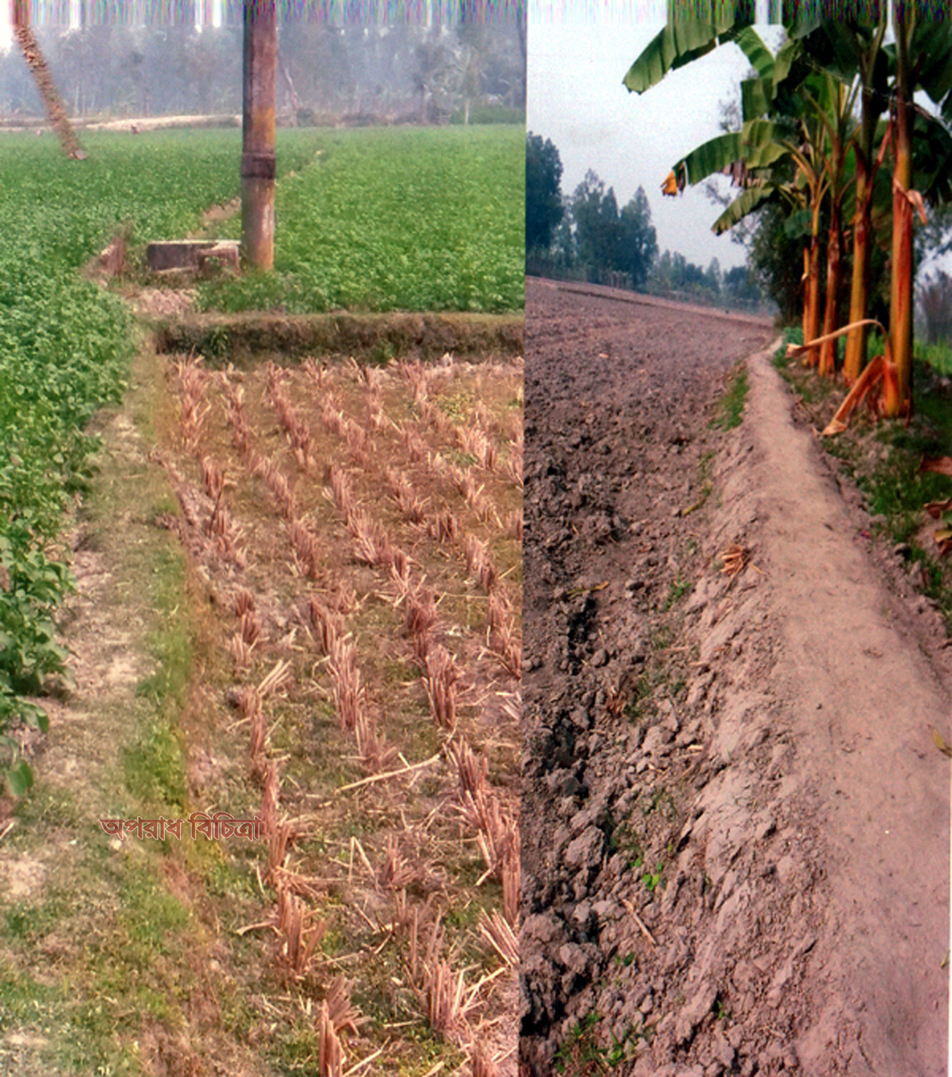 তারাগঞ্জে সরকারী রাস্তা ও খাস জমি আজও প্রভাবশালী ভূমি গ্রাসীদের দখল মুক্ত হয় নাই