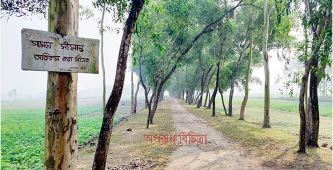 সীমান্ত থেকে পুলিশ সদস্যকে ধরে নিয়ে গেল বিএসএফ
