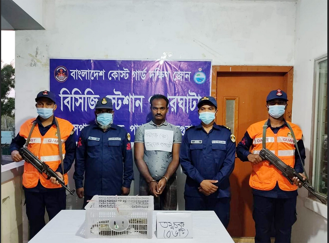 কোস্ট গার্ডের অভিযান : তক্ষকসহ পাচারকারী আটক