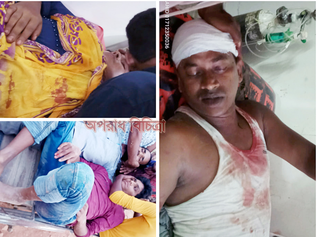 পটুয়াখালীতে ক্ষেতে ডাল তুলতে গিয়ে সন্ত্রাসী হামলার শিকার নারীসহ আহত-১২