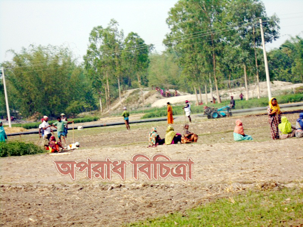 তেঁতুলিয়ায় জোরপূূর্বক জমি দখলের পাঁয়তারা অত: পর মিথ্যা মামলা দিয়ে হয়রানির অভিযোগ