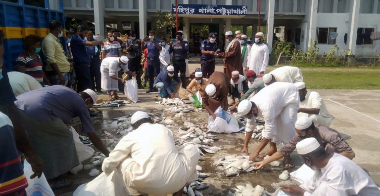 পটুয়াখালীতে  অভিযানে ২৭ মন জাটকা ইলিশ ট্রাকসহ আটক ১