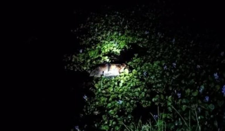 সুনামগঞ্জে মস্তকবিহীন অর্ধগলিত লাশ উদ্ধার