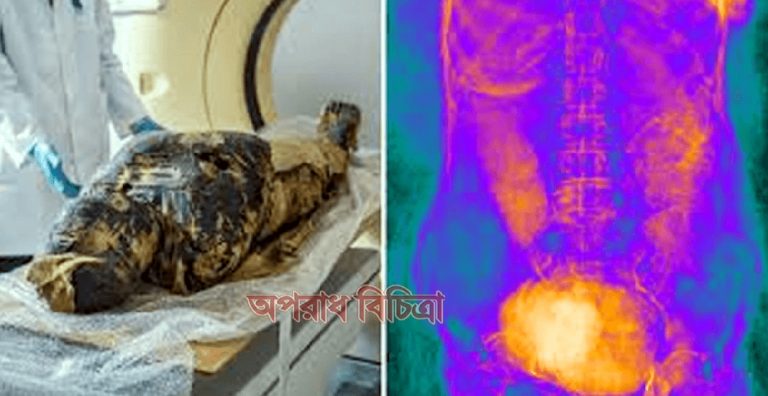 ২ হাজার বছরের মমির গর্ভে আজও অক্ষত সন্তান!