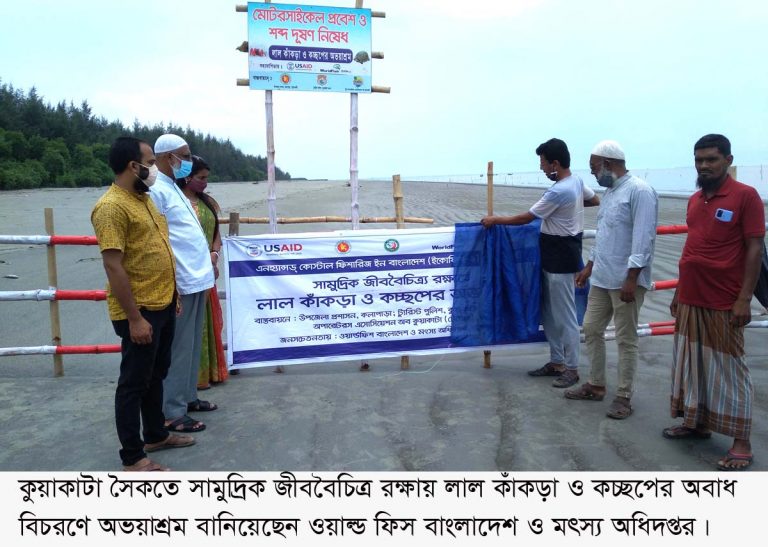 সামুদ্রিক জীববৈচিত্র রক্ষায়- কুয়াকাটা সৈকতে লাল কাঁকড়াও কচ্ছপের  অভয়াশ্রম