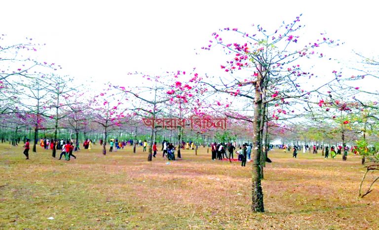 তাহিরপুরে নিষেধাজ্ঞা জারি করেছে প্রশাসন