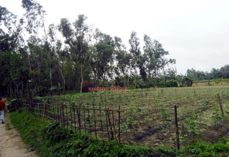 শেখ হাসিনার বাংলাদেশ ভুমি দস্যুর দিন শেষ