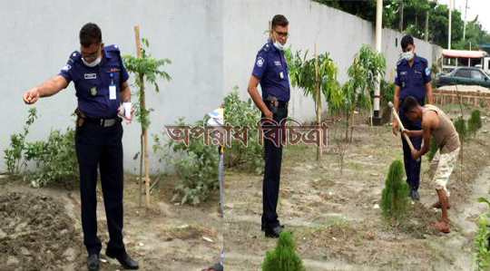 সিদ্ধিরগঞ্জ থানায় গাছ রপণ করে আলোচনায় ওসি মশিউর