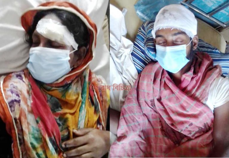 উজিরপুরে মা ও ছেলেকে কুপিয়ে জখম