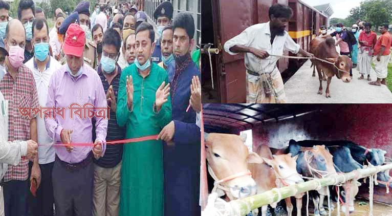 ব্যাপক সাড়া ফেলেছে ক্যাটল স্পেশাল ট্রেন