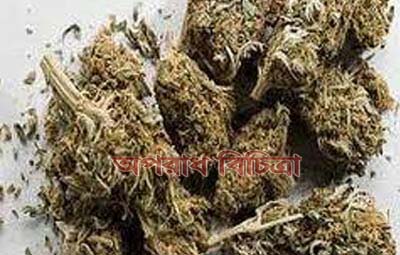 মোটর সাইকেলযোগে গাঁজা পাচার, পুলিশ সদস্যসহ ২ জন গ্রেফতার