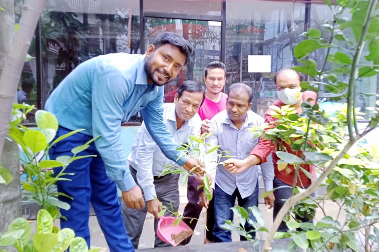 সবুজ আন্দোলনের বৃক্ষরোপন  কর্মসূচী