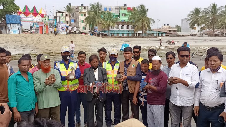 কুয়াকাটায় ৭টি পাখি অবমুক্ত করলো বন বিভাগ