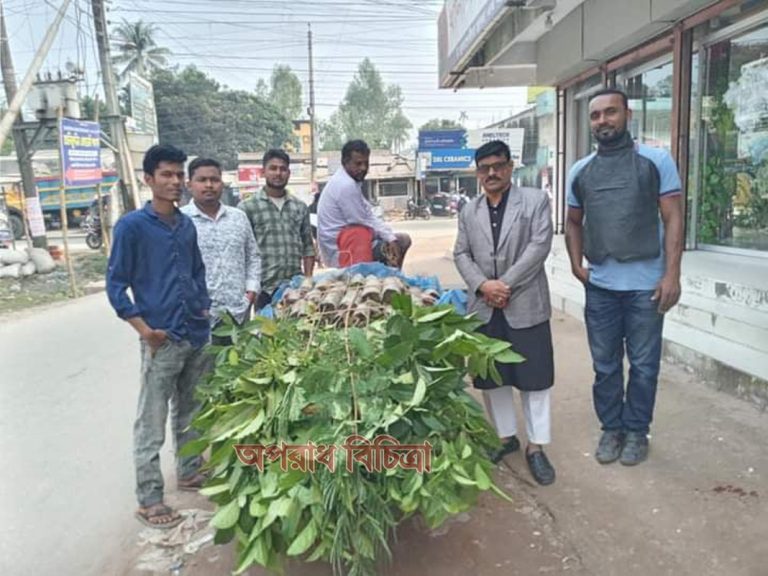 সবুজ আন্দোলন পঞ্চগড় জেলা শাখার উদ্যোগে গাছের চারা বিতরণ