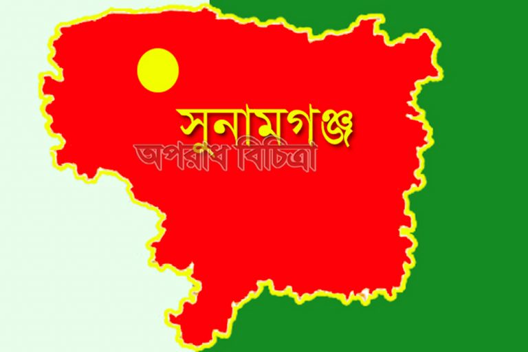 সুনামগঞ্জে পুকুরে ডুবে ২ ভাইয়ের মৃত্যু