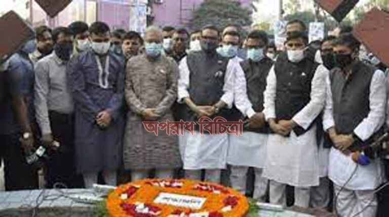 শৃঙ্খলমুক্ত হলেও গণতন্ত্র প্রাতিষ্ঠানিক রূপ পায়নি