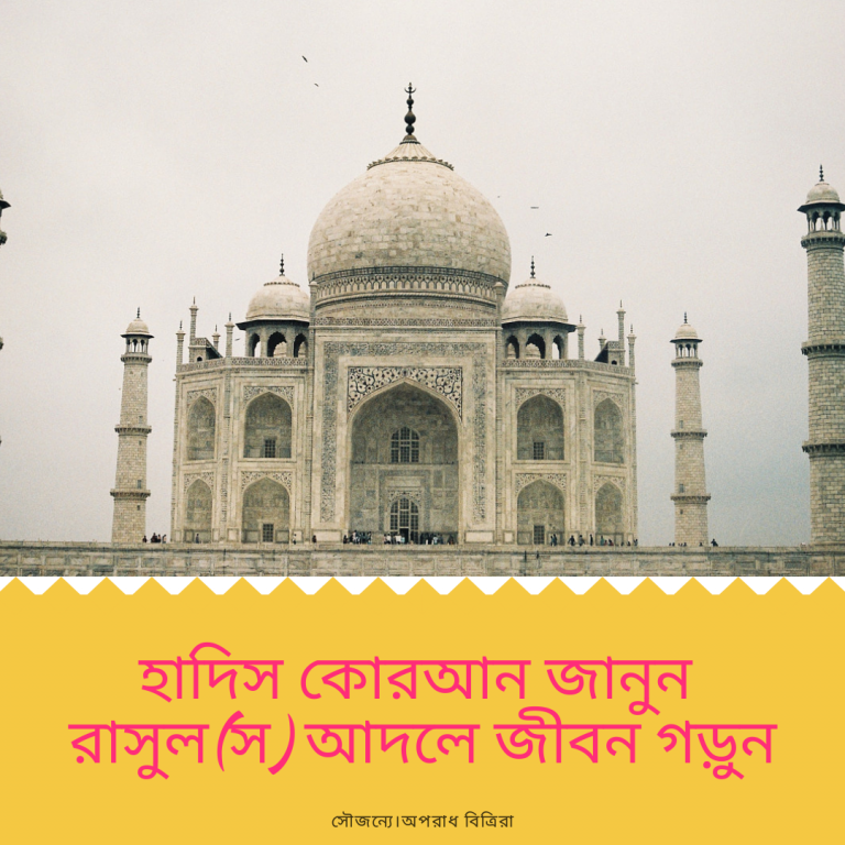 কোরআনের মহান সুরা কি জেনে নিন  কোরআনের হাদিস নাম্বার – ৪১২২