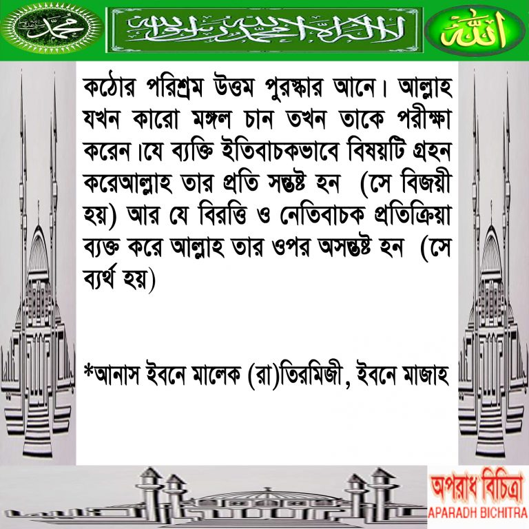 কেউ যদি সৎ পরিশ্রম করে আল্লাহ তার  প্রতিদান নিজ হাতে দিবেন