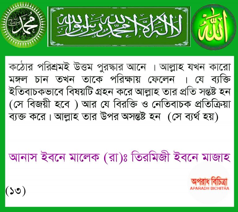 হালাল উপার্জন আল্লাহ পছন্দ করেন