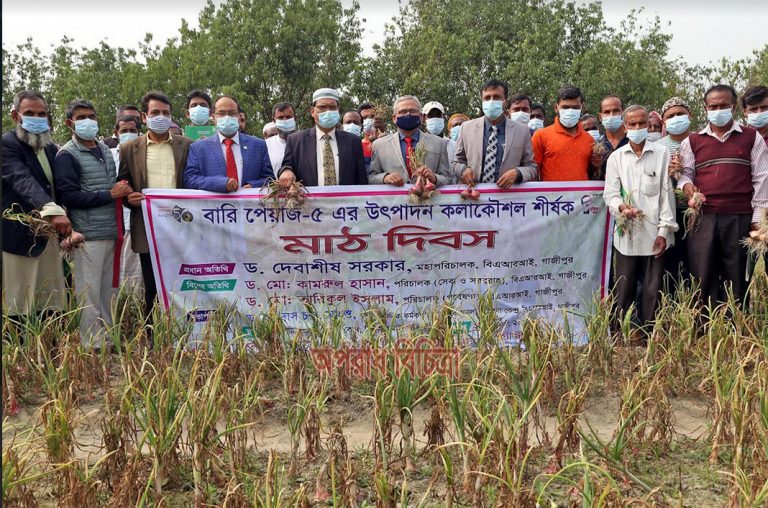 বারি পেঁয়াজ-৫ এর উৎপাদন কলাকৌশল শীর্ষক মাঠ দিবস অনুষ্ঠিত