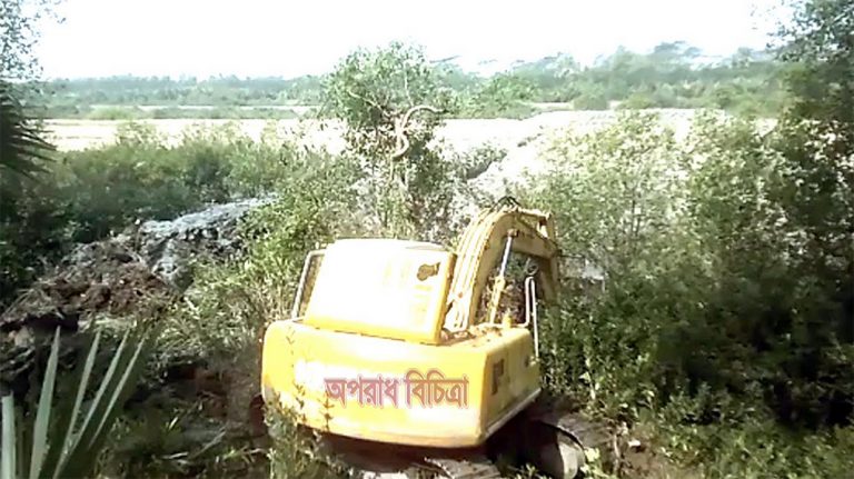 কলাপাড়ায় বন্দোবস্তের আবেদন করেই পাউবো’র জমি দখল করে বন উজাড়