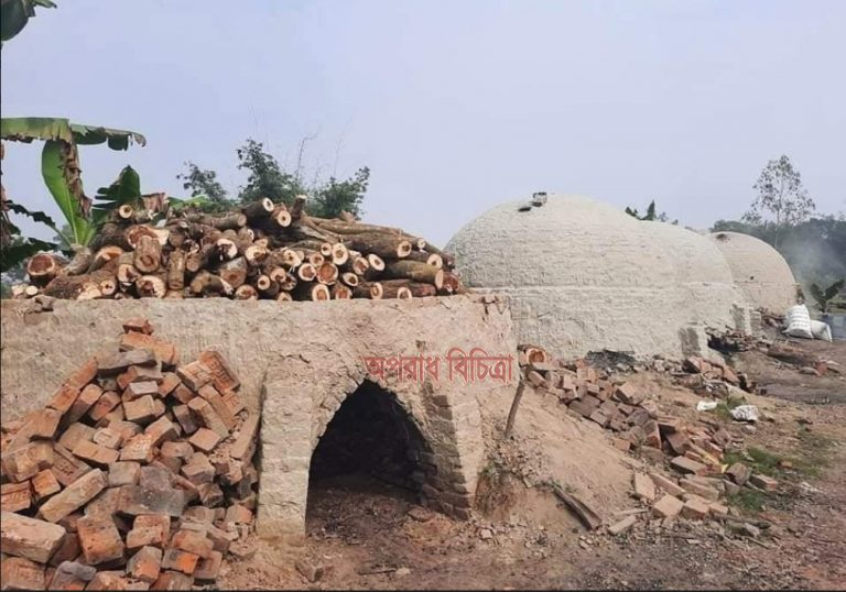 বনের কাঠ পুড়িয়ে কয়লা তৈরি করছে মুনাফালোভী একশ্রেণীর অসাধু ব্যবসায়ীরা
