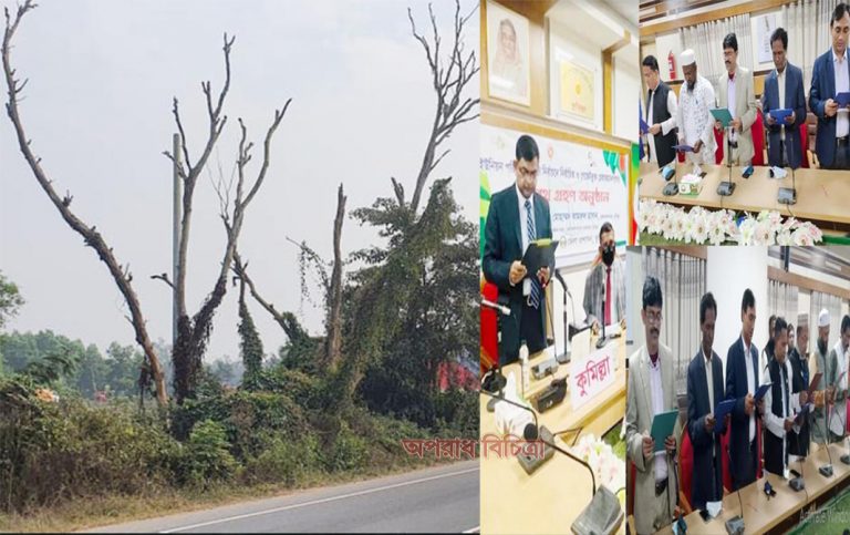 ঢাকা-চট্টগ্রাম মহাসড়কের পাশে মরাগাছ, দুর্ঘটনার আশঙ্কা