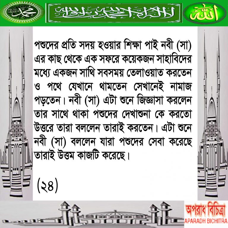  পশুদের প্রতি কেমন আচরন করবেন