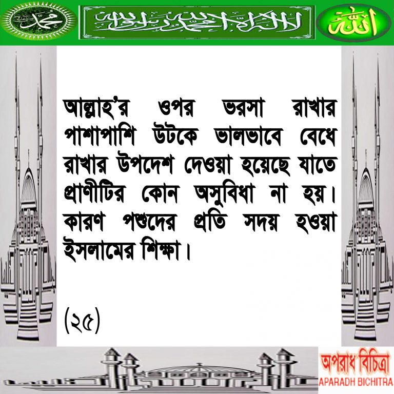 আল্লাহর আদেশ পশুদের প্রতি সদয় ব্যবহার করা