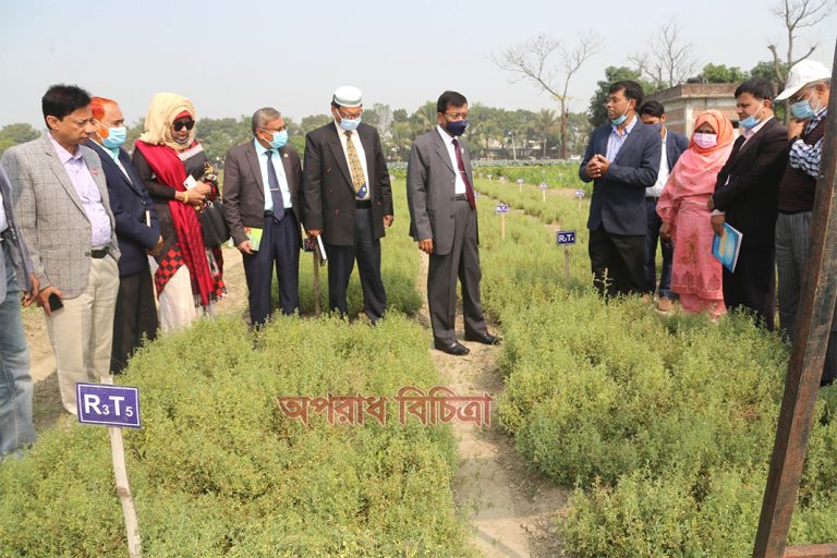 বারি’তে ফসলের রোগবালাই দমন ব্যবস্থাপনা শীর্ষক মাঠ দিবস অনুষ্ঠিত