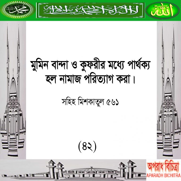 মুমিনের ও কুফরীর পার্থক্য কী ….ইসলাম কি বলে