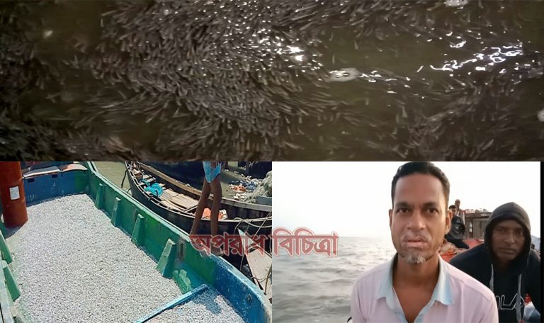 পটুয়াখালীতে ১০ লাখ ফাইস্যা পোনাসহ ৮ জেলে আটক