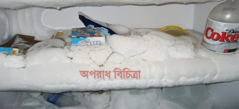 অতিরিক্ত বরফ জমছে ফ্রিজে …… জেনে নিন করণীয় কি