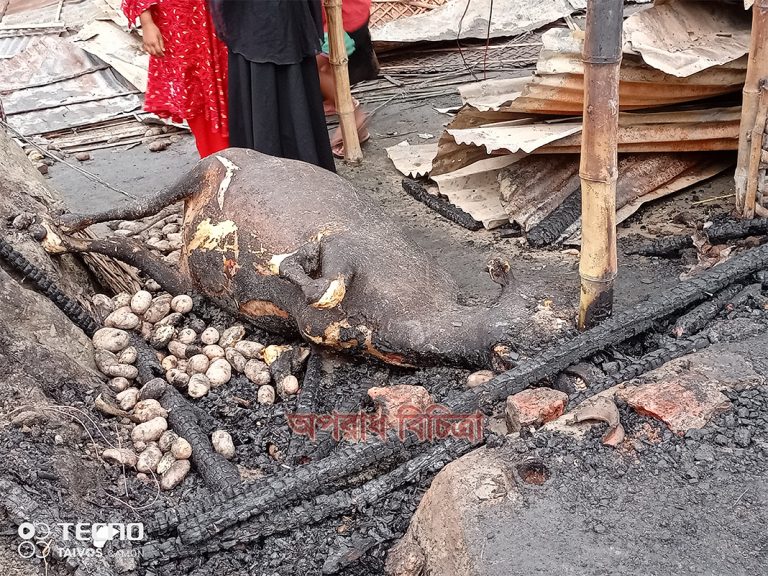 কিশোরগঞ্জে অগ্নিকাণ্ডে গবাদিপশুসহ বসতবাড়ি পুড়ে ছাই, ২৫ পরিবার সর্বশান্ত