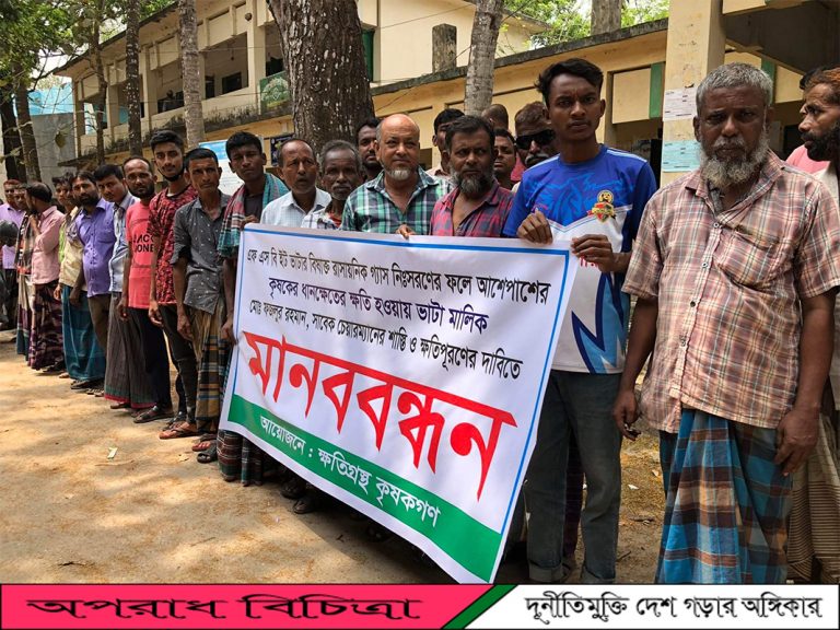 ইটভাটার গ্যাসে মাঠের ধান পুড়ে যাওয়ার প্রতিবাদে মানববন্ধন