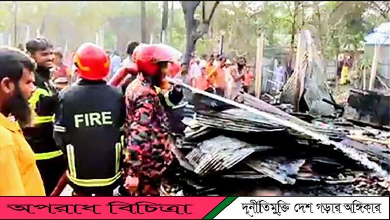 গুরুদাসপুরে আগুনে পুড়লো নয়টি ঘর শতবর্ষী এক বৃদ্ধা নিহত