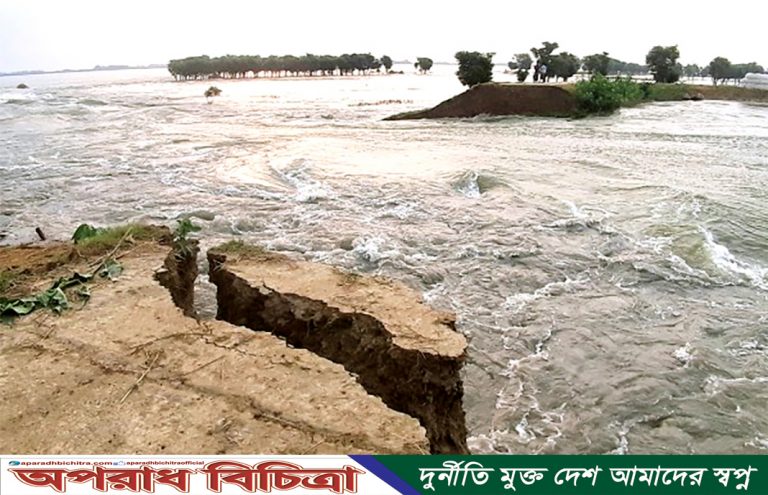 সুনামগঞ্জে বেড়েই চলেছে কৃষকদের কান্না : হালীর হাওরের বাঁধ ভেঙে ফসল ডুবি
