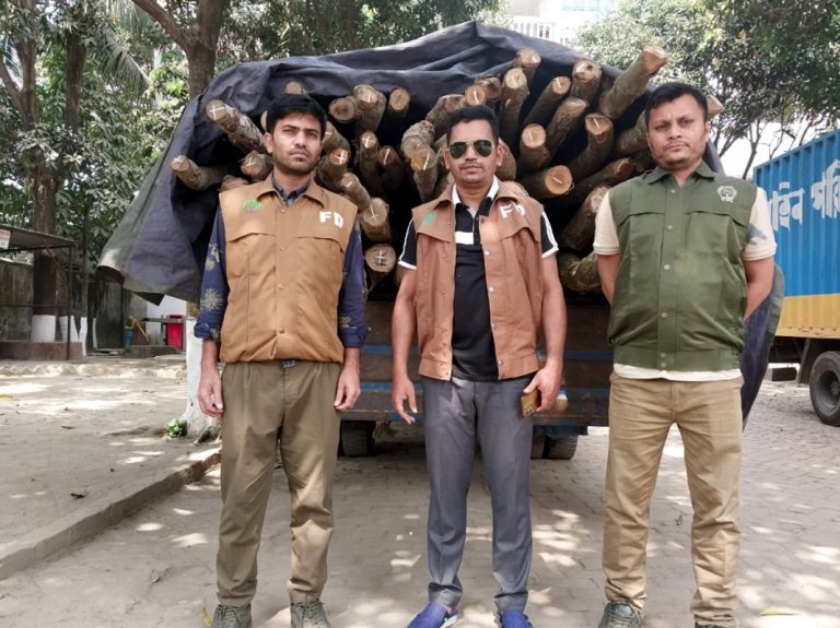 সোনারগাঁও ফরেষ্ট চেক স্টেশনে অবৈধ কাঠের গাড়ী আটক