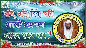 মনী ও মযীর পরিচয়