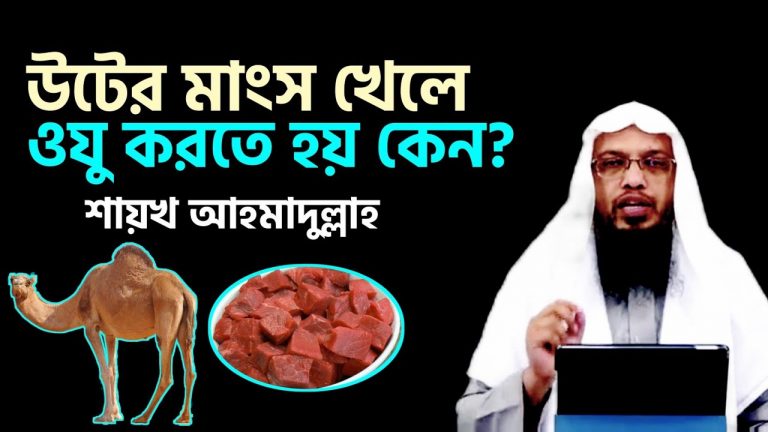 উটের গোশত আহারের পর উযূ করা