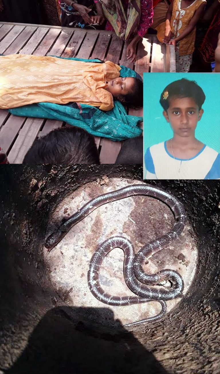 শার্শায় সাপের কামড়ে স্কুল ছাত্রীর মৃত‍্যু